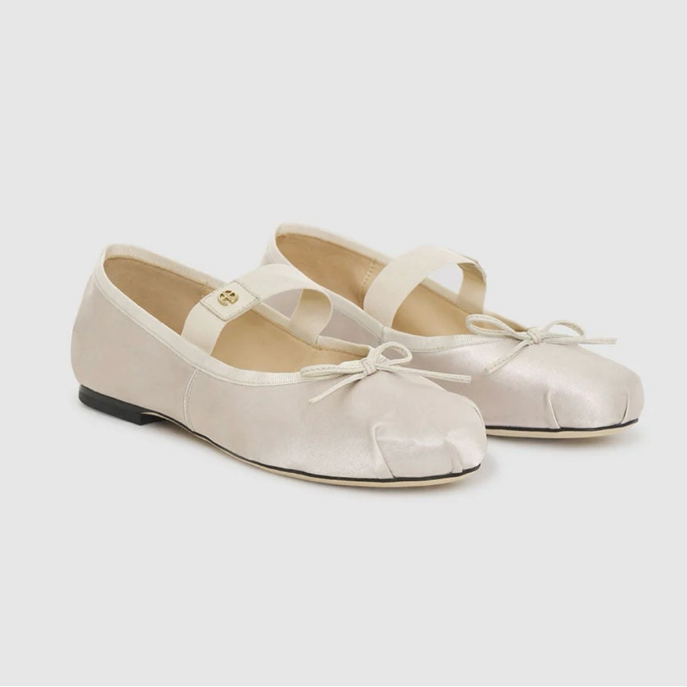 Anine Bing Jolie Flats in Champagne Color (41)